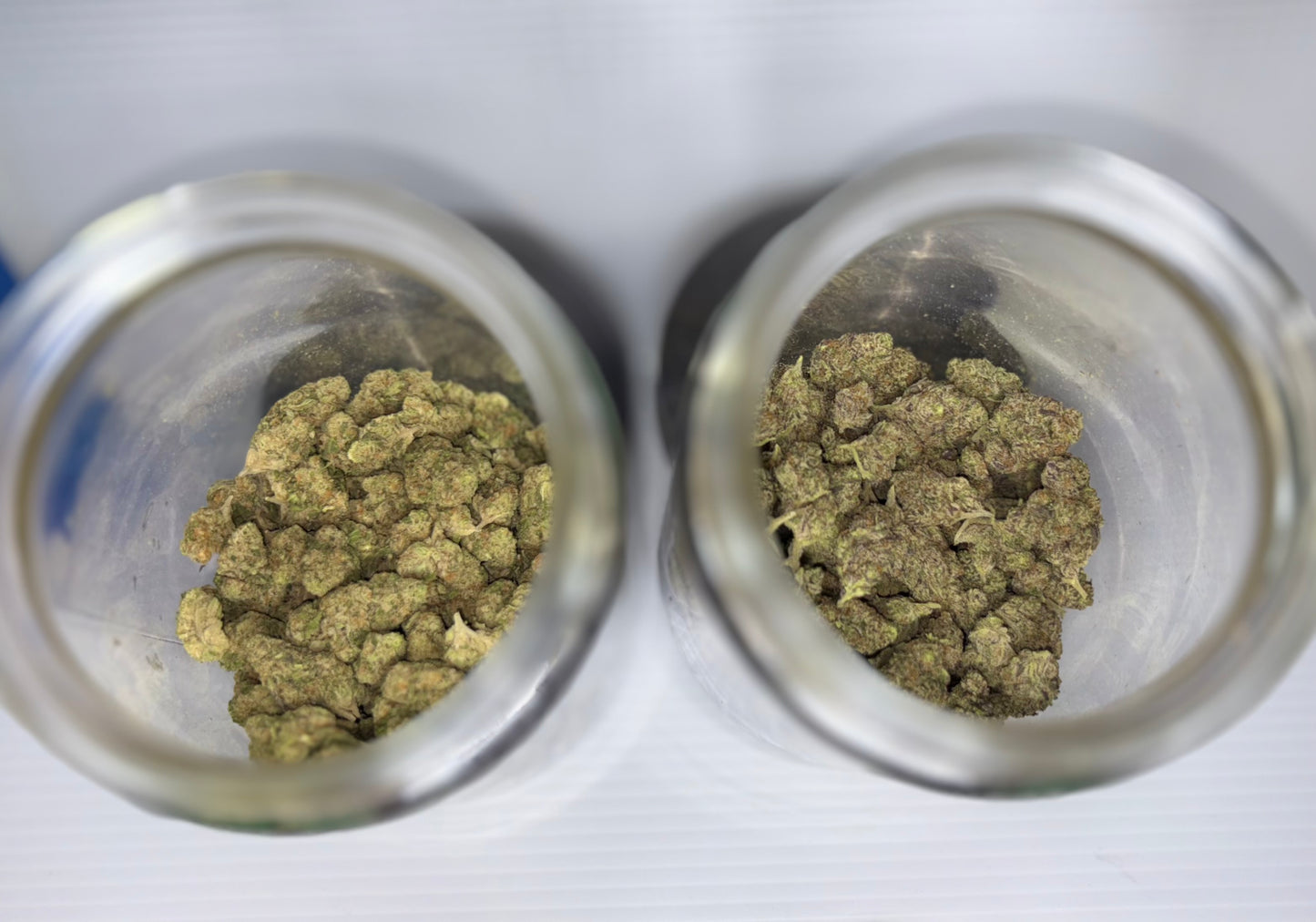 TOP SHELF EXOTIC 1 GRAM FLOWER