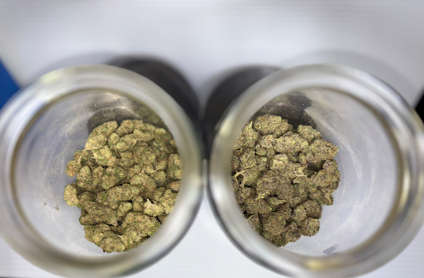 7G SPECIAL