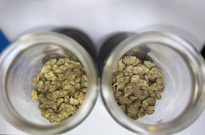 7G SPECIAL