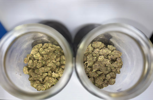 3.5G SPECIAL
