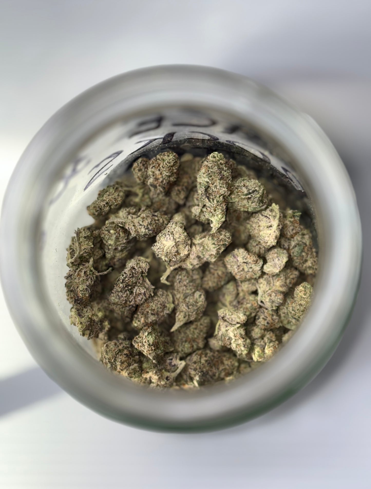 7G SPECIAL
