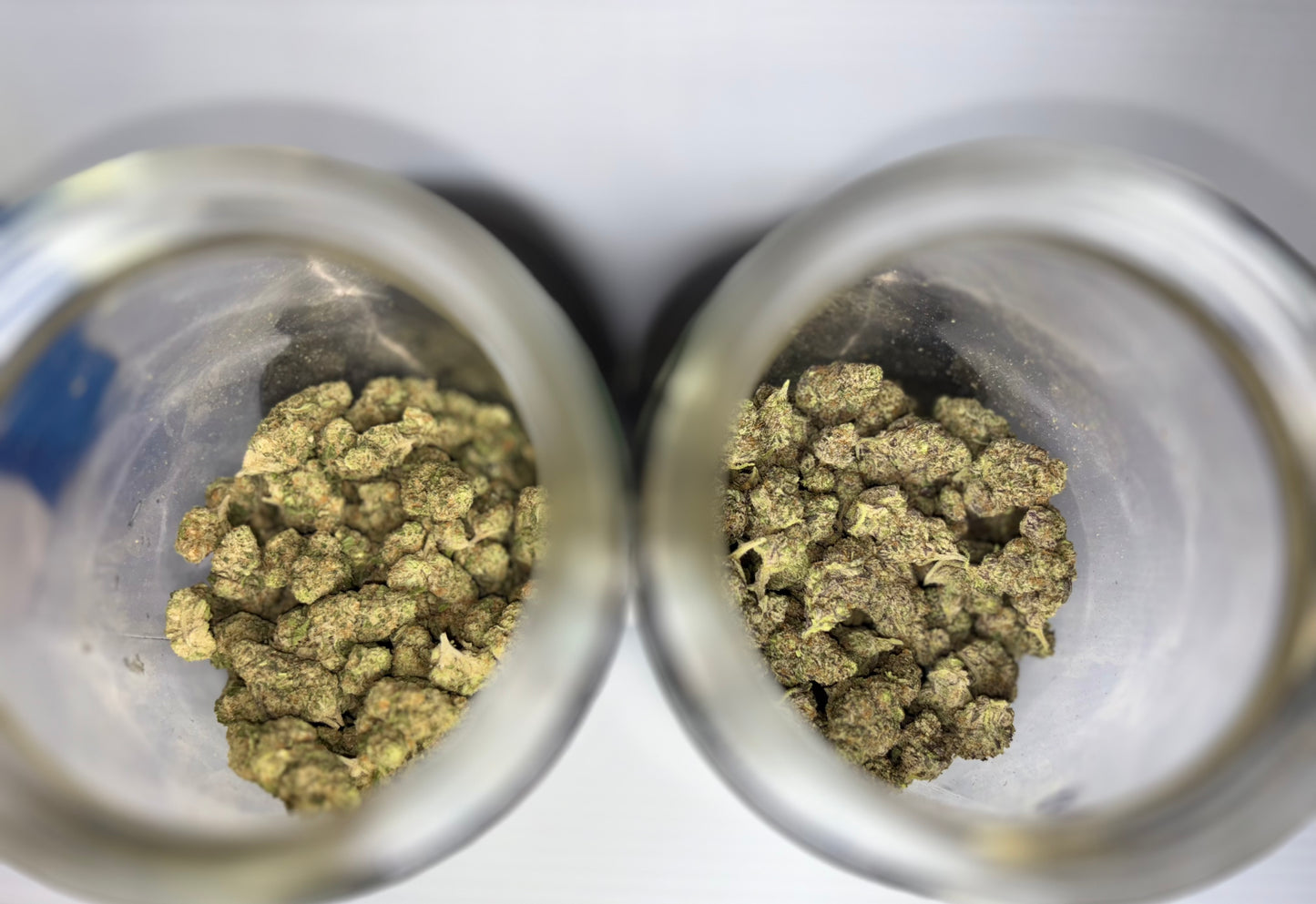 7G SPECIAL