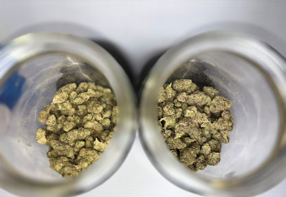 7G SPECIAL