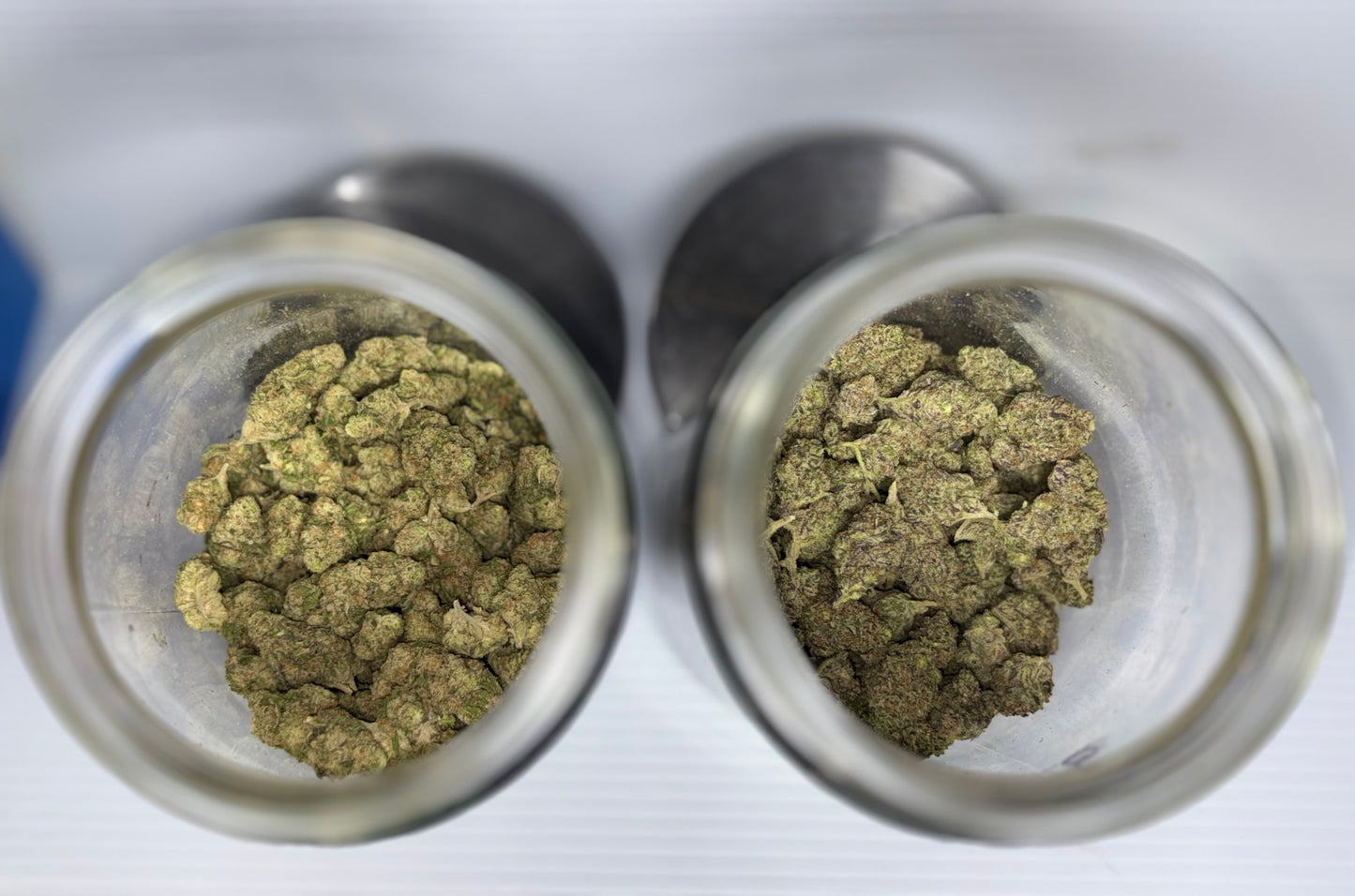 7G SPECIAL