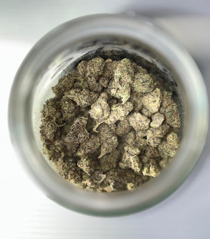 7G SPECIAL